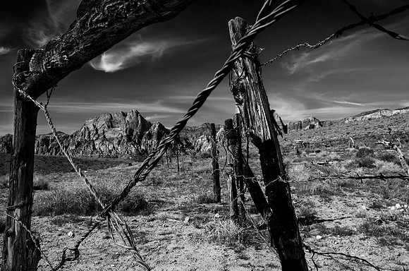 Red Rock Valley- Nevada